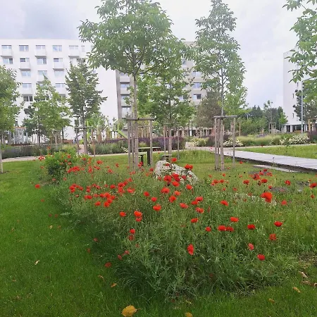 Apartament Large 75 M2 Next To Airport - Free Parking *