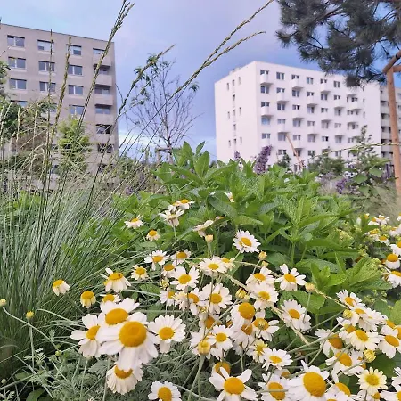 Large 75 M2 Next To Airport - Free Parking Apartament