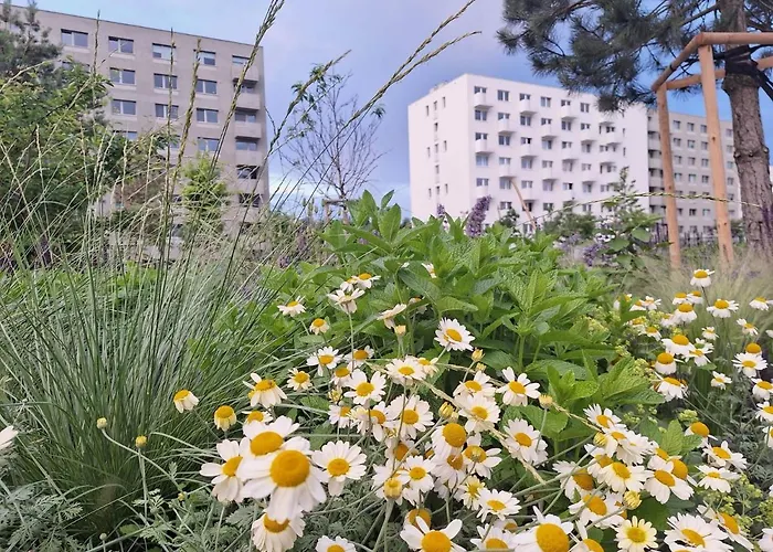 Large 75 M2 Next To Airport - Free Parking Apartament